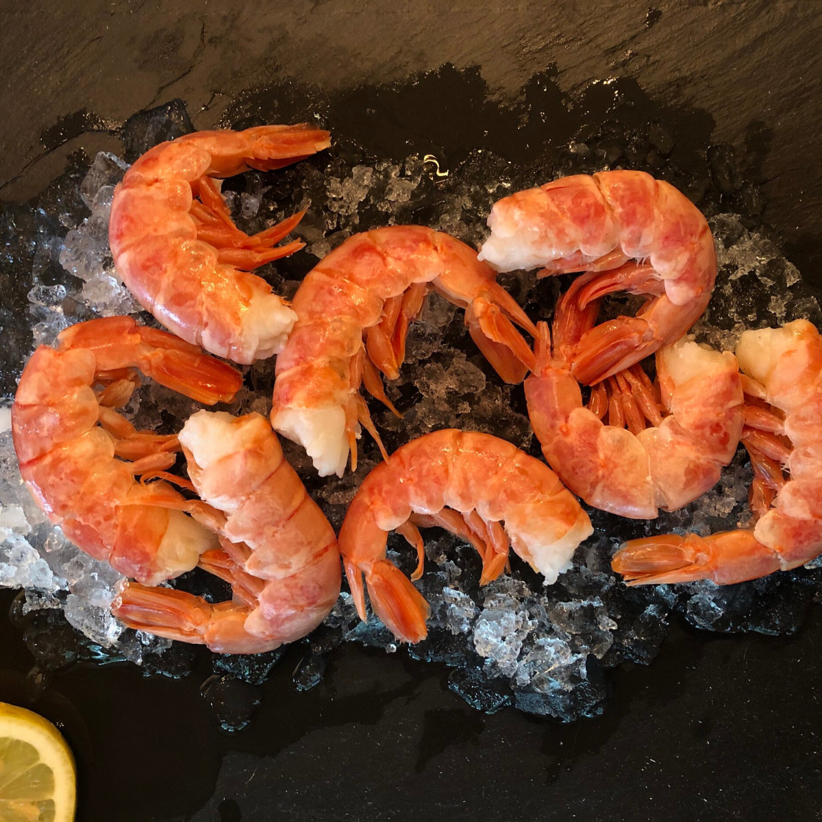 Wild Caught Royal Red Shrimp